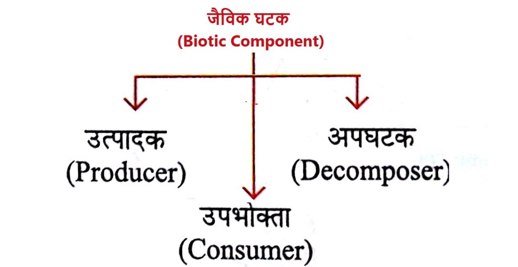 biotic component